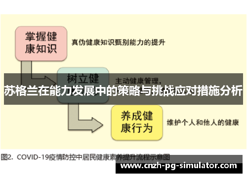 苏格兰在能力发展中的策略与挑战应对措施分析