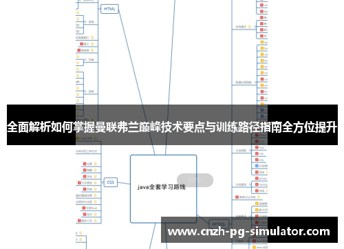 全面解析如何掌握曼联弗兰巅峰技术要点与训练路径指南全方位提升
